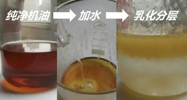 管家婆澳门免费公开图,科学现象解答探讨_资产版49.678