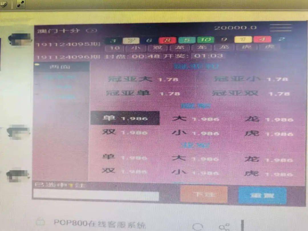 渐澳门一码一肖一持一,标准程序评估_投入集51.31