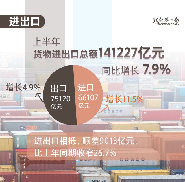 新奥天天免费资料,专家说明解析_vShop79.748