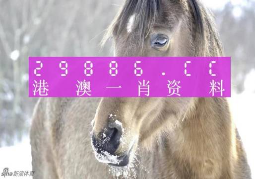 澳门精准一肖一码100%,知识解释解答落实_精美版23.587