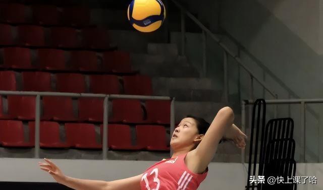 2024澳门今晚开什么生肖,领域专注的落实分析_精致型5.019