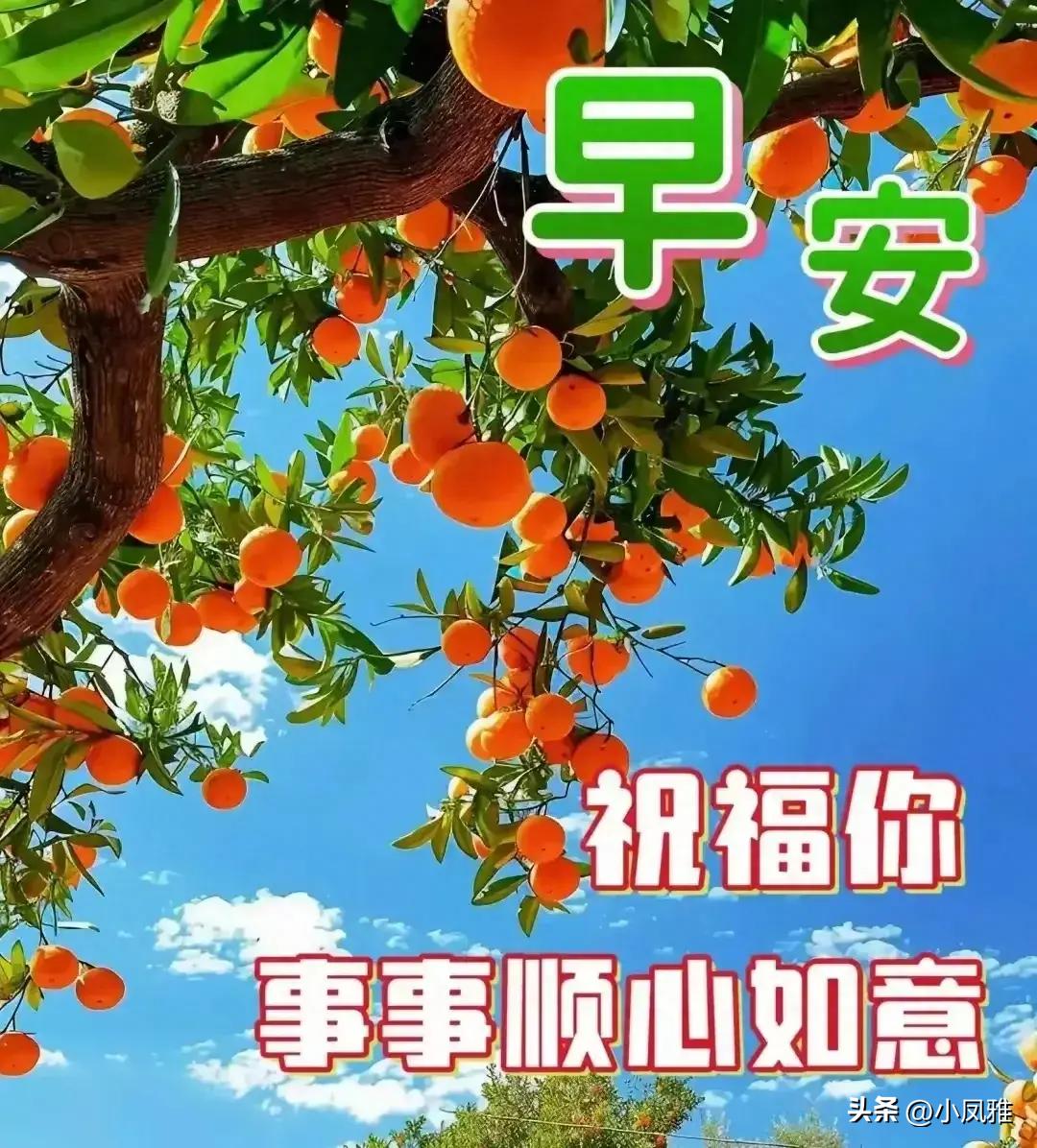 HDPE双壁波纹管 第908页