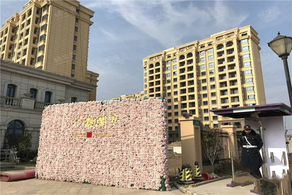 澳门资枓免费大全十开资料,适用设计解析_调控集6.363