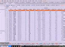 新奥全部开奖记录查询,深入解析策略数据_私人版40.568