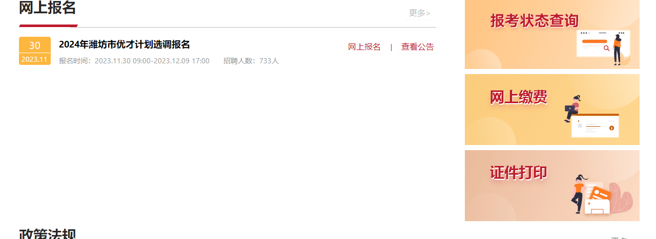 2024天天彩正版资料大全,全面设计解析策略_进展版21.733