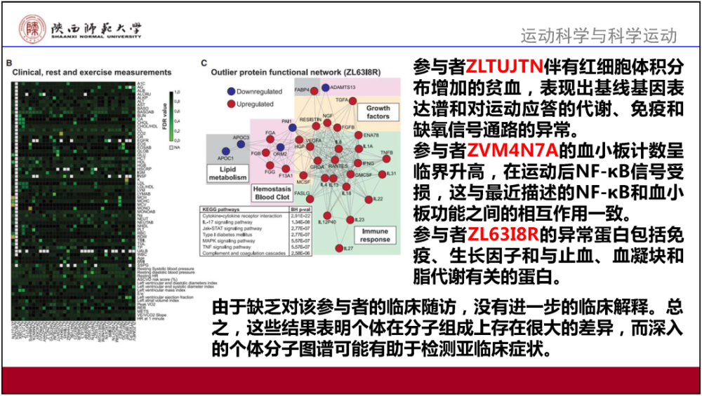 2024香港正版资料大全视频解读：策展版HBG831.8安全策略分析