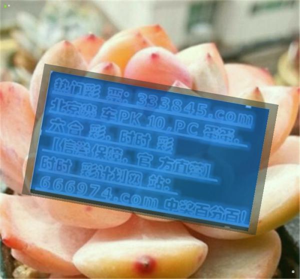 管家婆一码一肖全面汇总，精华解析_防御版YVP789.44