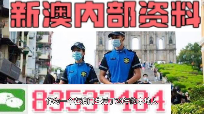 新澳精准资料免费分享，中级版CEN672.22动态词汇解析