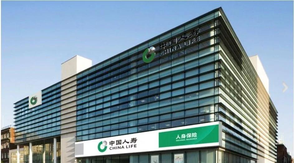 中钢集团最新动态，小巷中的隐藏瑰宝揭秘