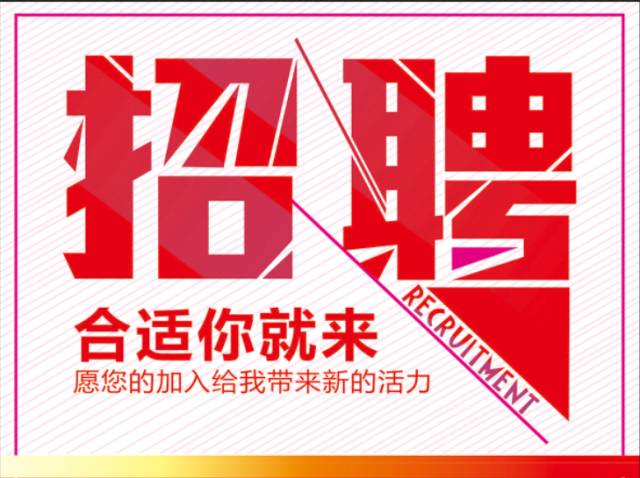 景德镇司机最新招聘,景德镇司机最新招聘，缘分路上的欢笑与陪伴