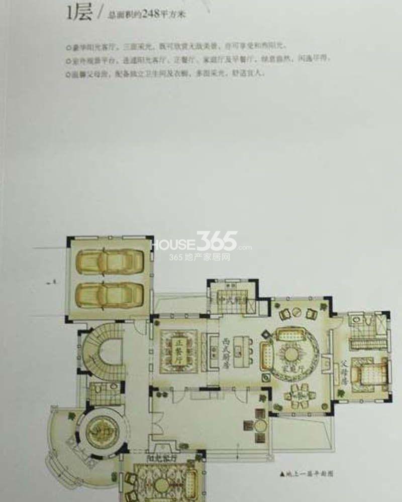 广东滨海公路最新消息,广东滨海公路最新动态，一场探索自然美景的旅行盛宴，等你来赴！