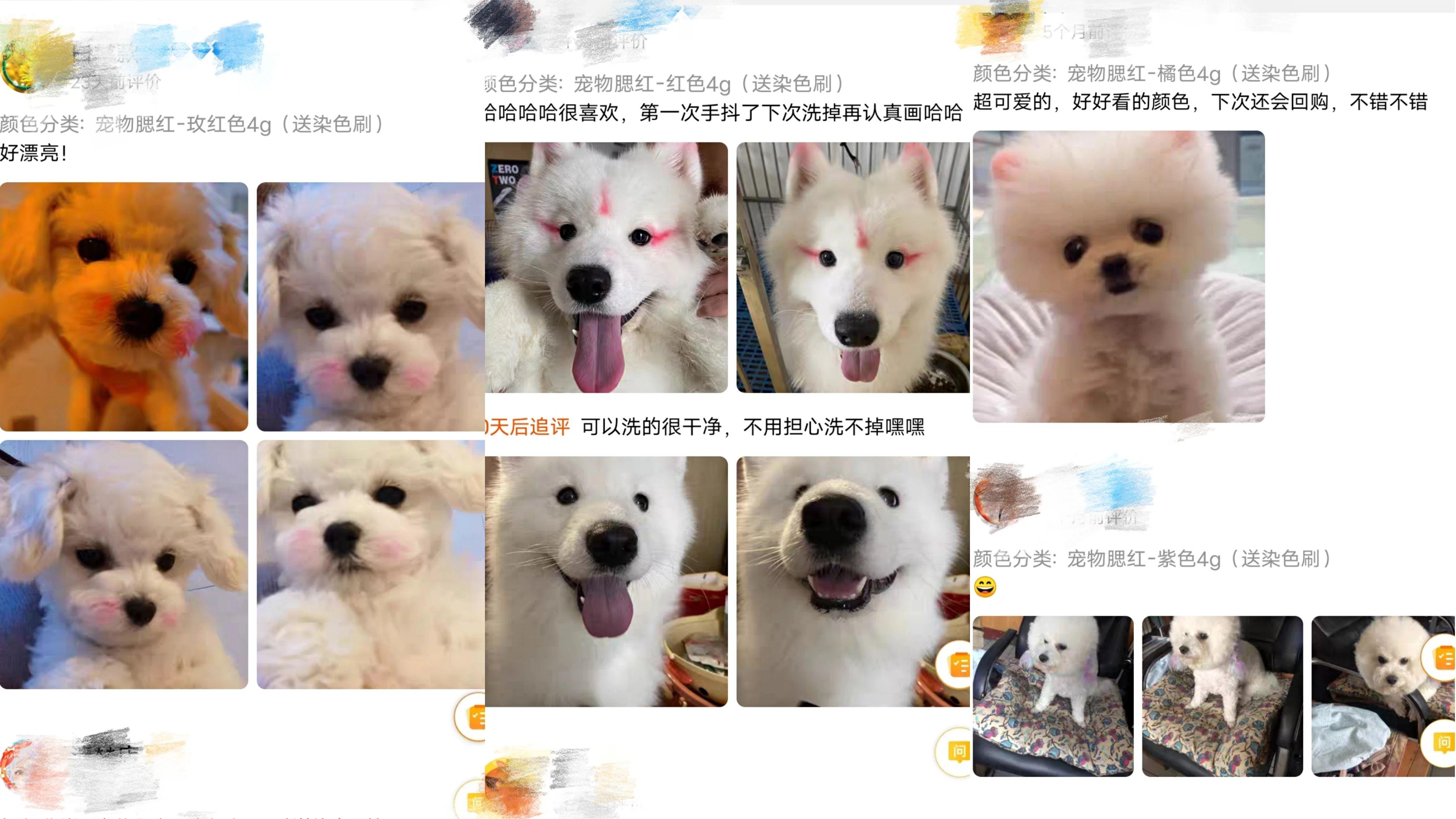 打屁屁视频合集，小红书最新推荐，精彩内容不容错过（涉黄警告）