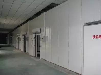 金乡冷库大蒜最新价格,金乡冷库大蒜最新价格，市场走势分析及其影响