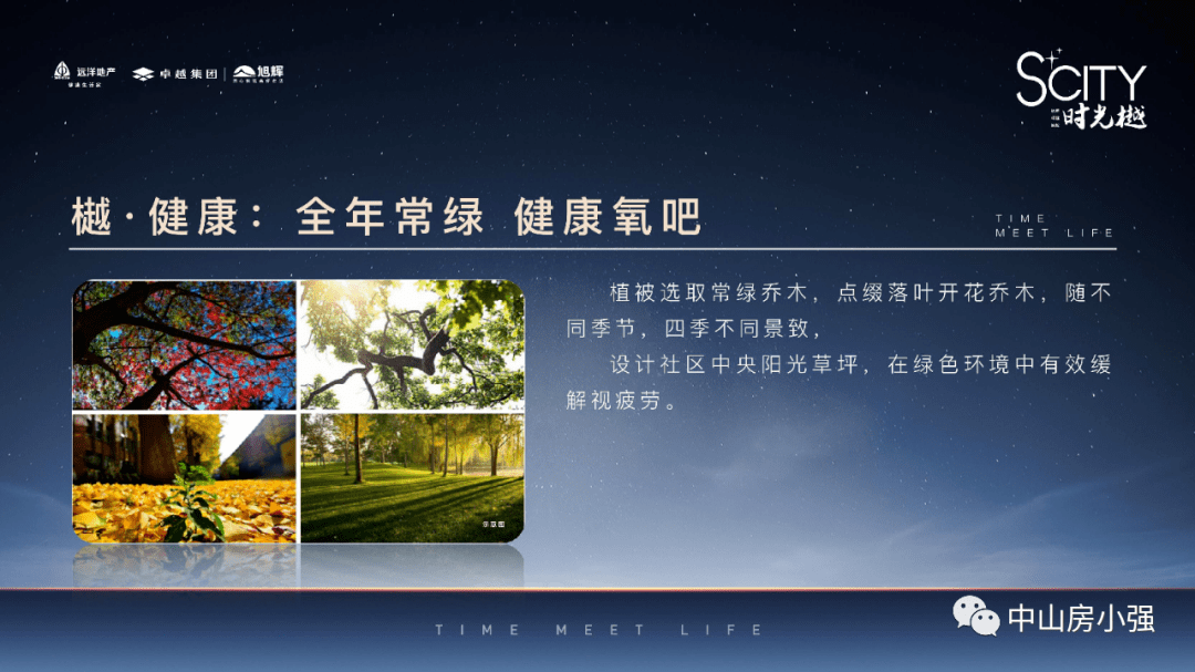 golang最新版本,关于Golang最新版本的探讨与观点分析