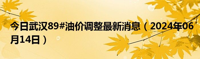 武汉油价调整最新消息,武汉油价调整最新消息📢🔥