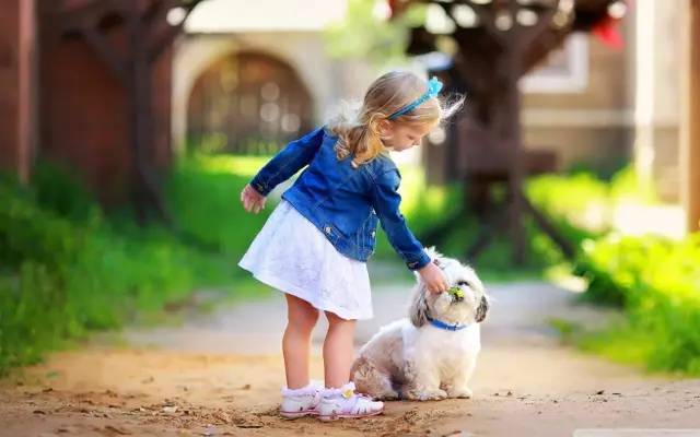 犬公主最新,犬公主最新，一场自然美景的探险之旅