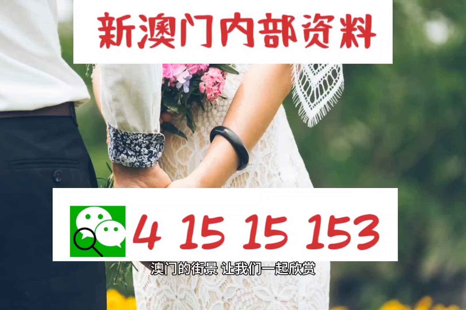 新澳免资料费,高效运行支持_高清晰度版95.855