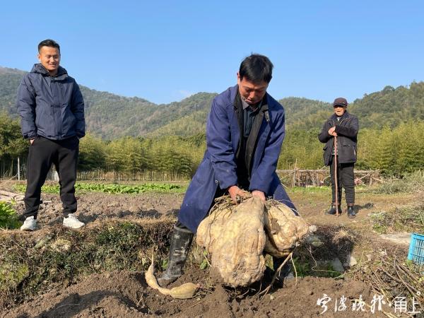 HDPE塑钢缠绕管 第249页