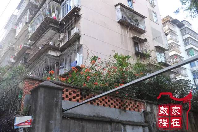 深圳房产最新状况,深圳房产最新状况，巷弄深处的一抹独特风景