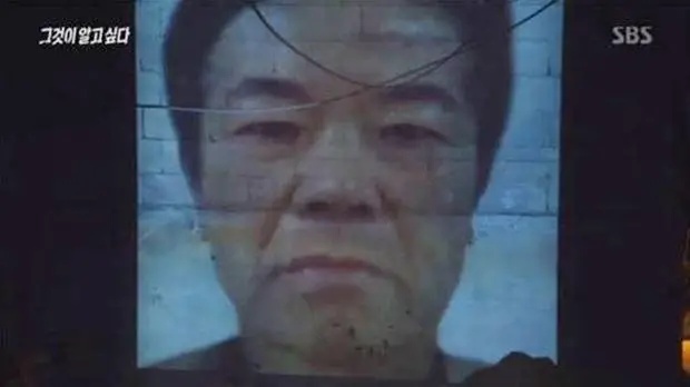 赵斗淳最新,赵斗淳最新动态，深度解读与观点阐述