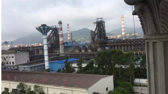 友家的温暖与陪伴