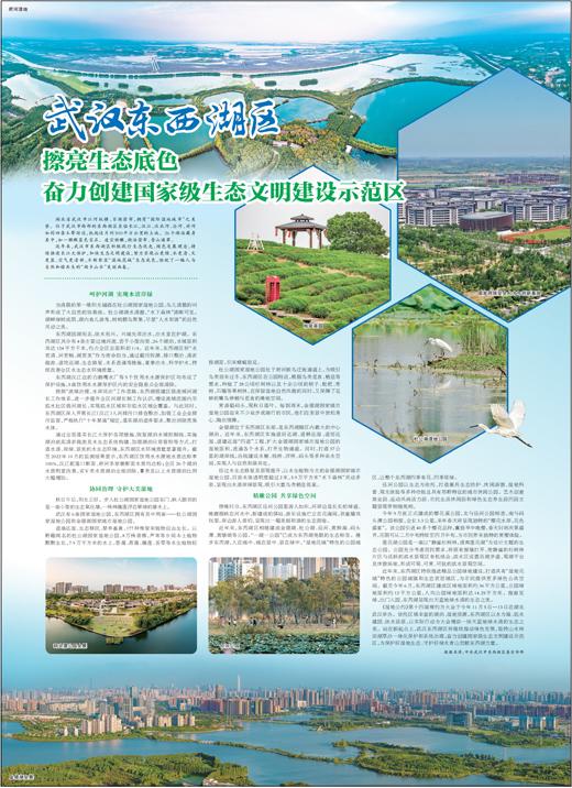 武汉东西湖最新动态