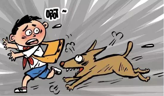 狂犬病最新新闻资讯