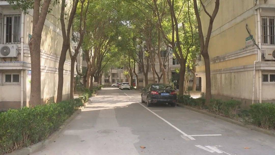 庐江军二东路最新动态，小巷深处的独特风味探索