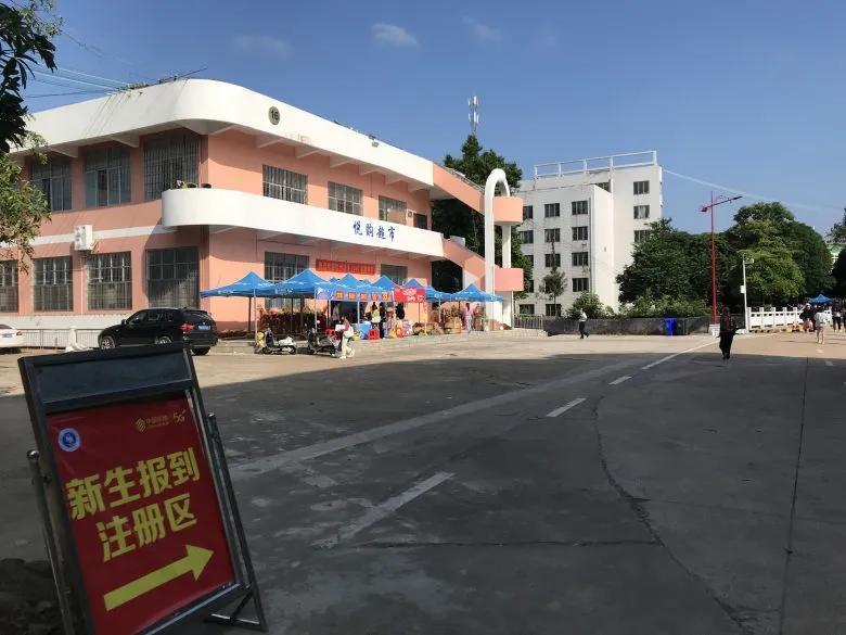 幼儿教师待遇最新动态，薪酬、福利与职业前景深度探讨