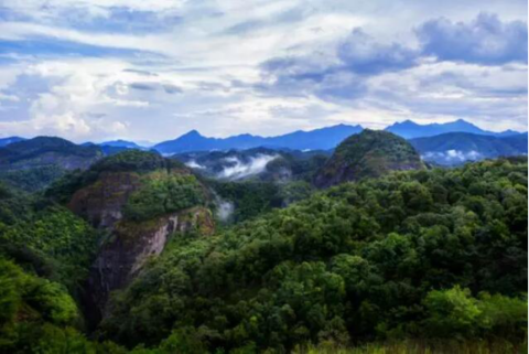 游鸽网南江最新动态，自然美景探索之旅的治愈力量