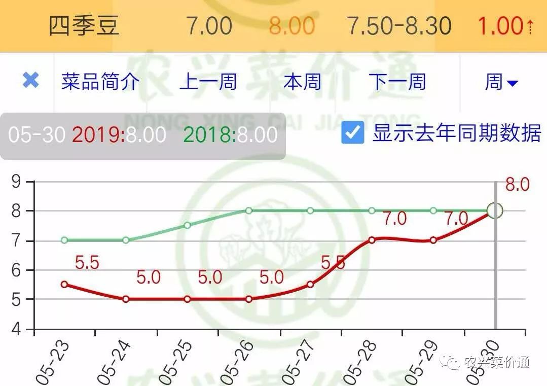 四季豆价格最新动态报告，最新行情分析
