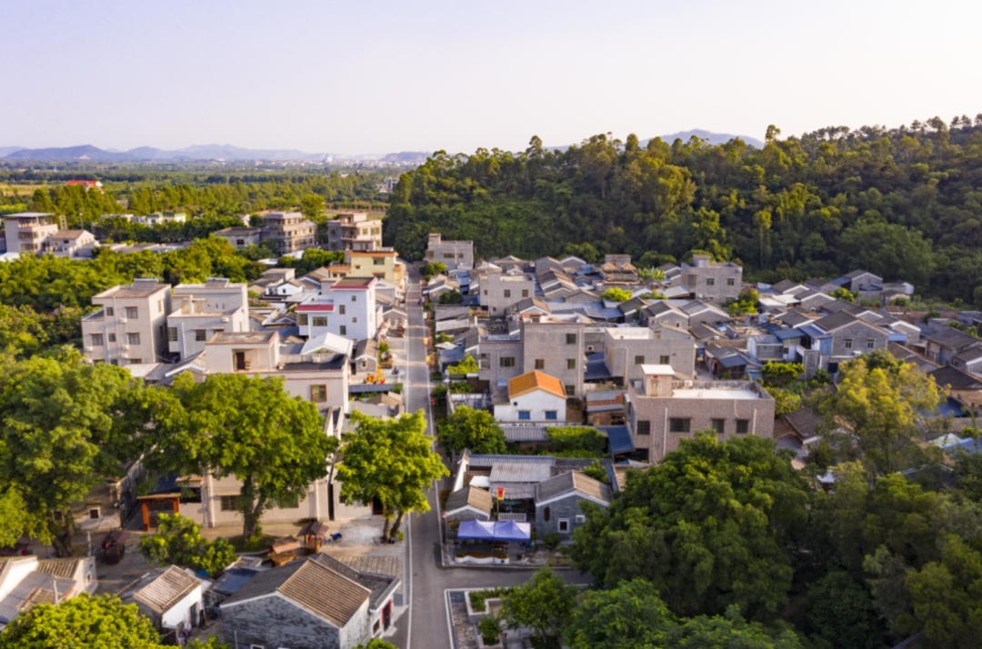 珠海宅基地最新政策，变化中的机遇，激发自信与成就感之源