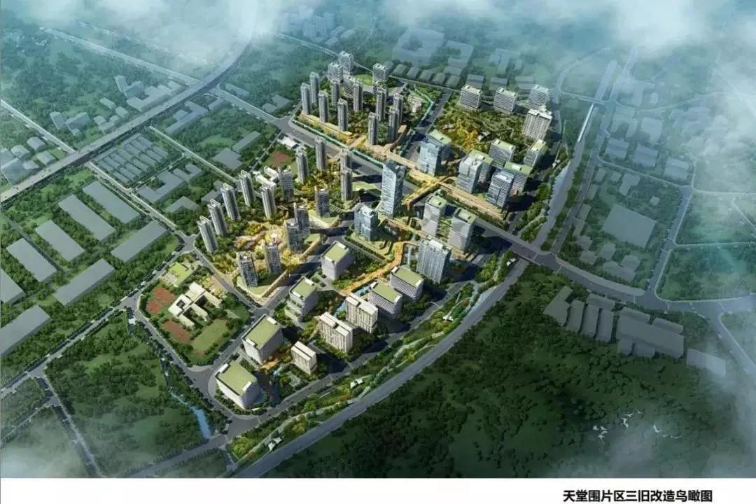 观澜鸿荣源旧改最新进展，深度分析与观点阐述