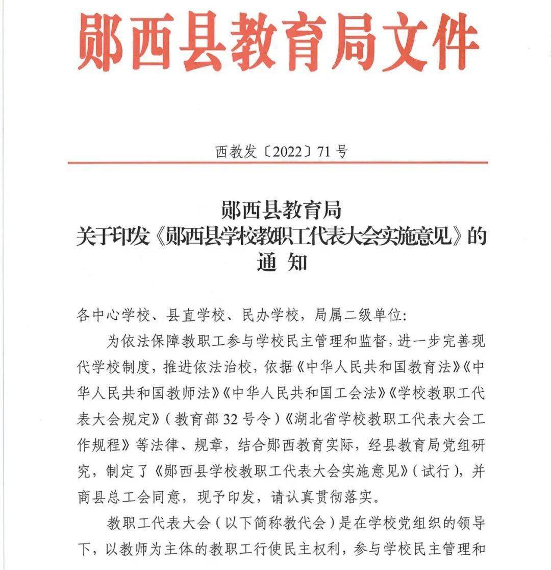 西和县教育局最新通知公告✨
