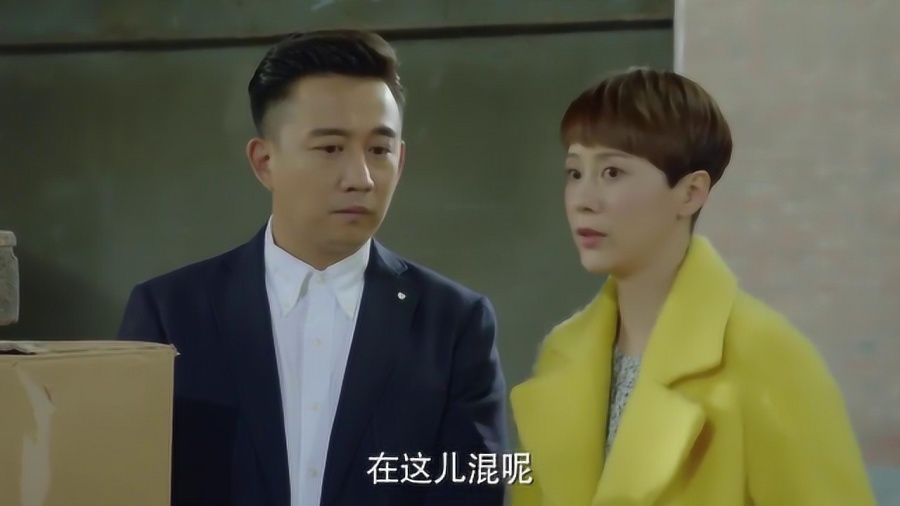 海清主演新剧家的温馨日常热播，演绎家庭温情故事