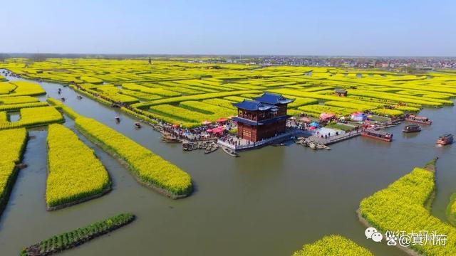 兴化市最新新闻,兴化市最新新闻📣🌱