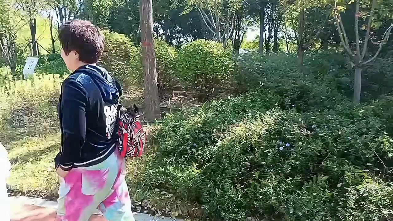 老毕最新消息,老毕最新消息，拥抱自然美景的旅行，寻找内心的平和乐园