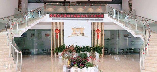 海阳最新招聘,海阳最新招聘，观点论述