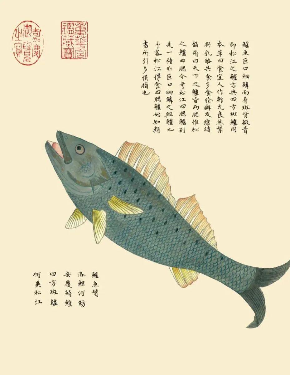 最新清宫表,最新清宫表，一场自然美景的探索之旅
