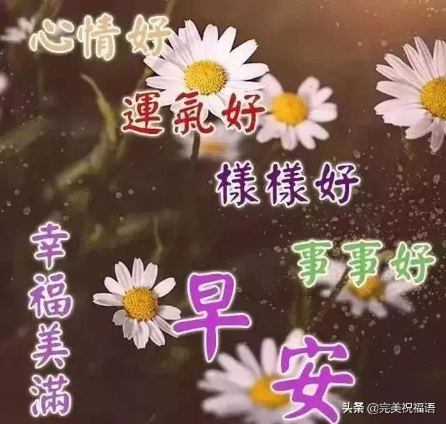 安知晓的最新作品,安知晓的最新作品，探索自然美景的旅行，寻找内心的平和之乐