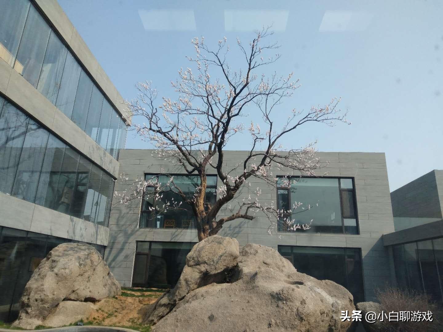 冷口温泉开发最新动态揭秘，小巷深处的温泉秘境开发进展